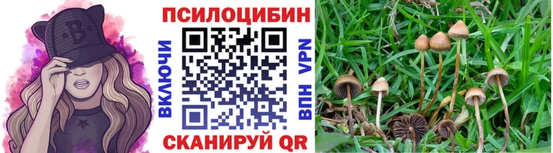 blacksprut как зайти  Мензелинск  Галлюциногенные грибы GOLDEN TEACHER 